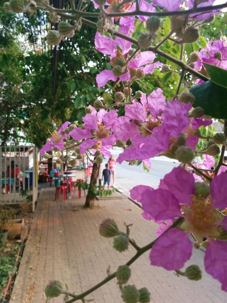 flowers and kids